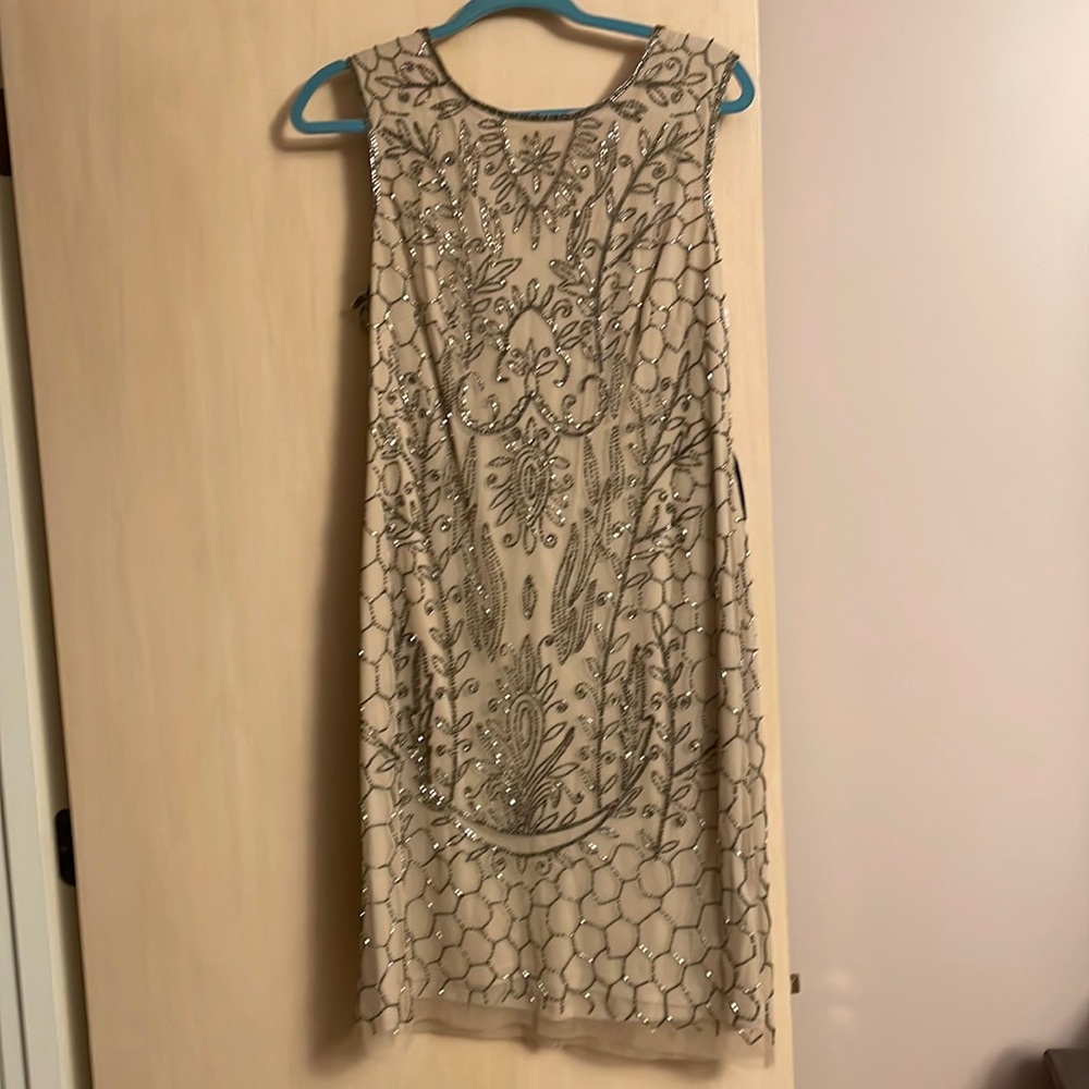 Adrianna Papell Silver Embellished Dress